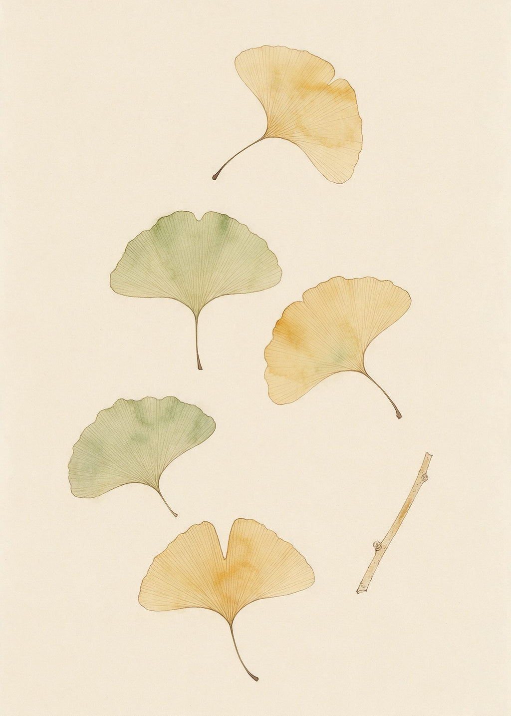 Œuvre de l’affiche Jardin des Plantes : cinq feuilles de ginkgo et un rameau au trait sépia, touches ocre et sauge, sur papier ivoire