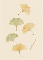 Œuvre de l’affiche Jardin des Plantes : cinq feuilles de ginkgo et un rameau au trait sépia, touches ocre et sauge, sur papier ivoire