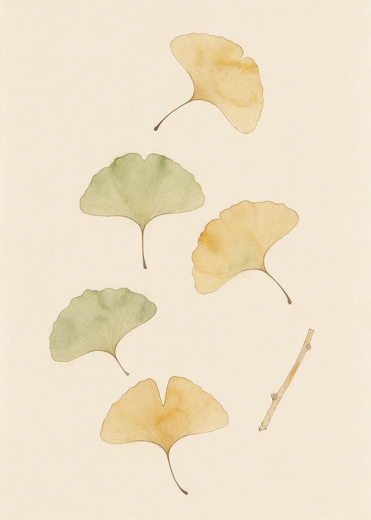 Œuvre de l’affiche Jardin des Plantes : cinq feuilles de ginkgo et un rameau au trait sépia, touches ocre et sauge, sur papier ivoire