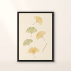Affiche Jardin des Plantes, feuilles de ginkgo aux touches ocre et sauge, en cadre noir, sur fond crème