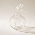 Vase bulle Tuileries en verre soufflé transparent, avec une tige de monnaie-du-pape, sur fond crème