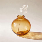 Vase bulle Tuileries en verre soufflé ambré, avec une tige de monnaie-du-pape, sur fond crème